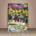 Flora-spring-24-cover