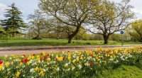 Photo Courtesy University of Kent