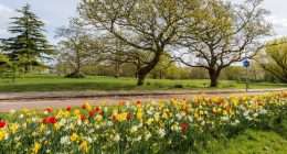 Photo Courtesy University of Kent